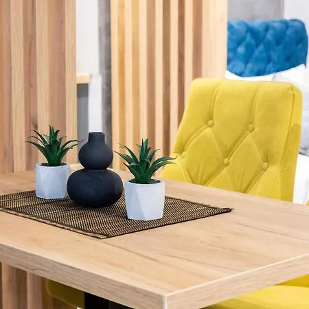 Apartman Skadarlija *